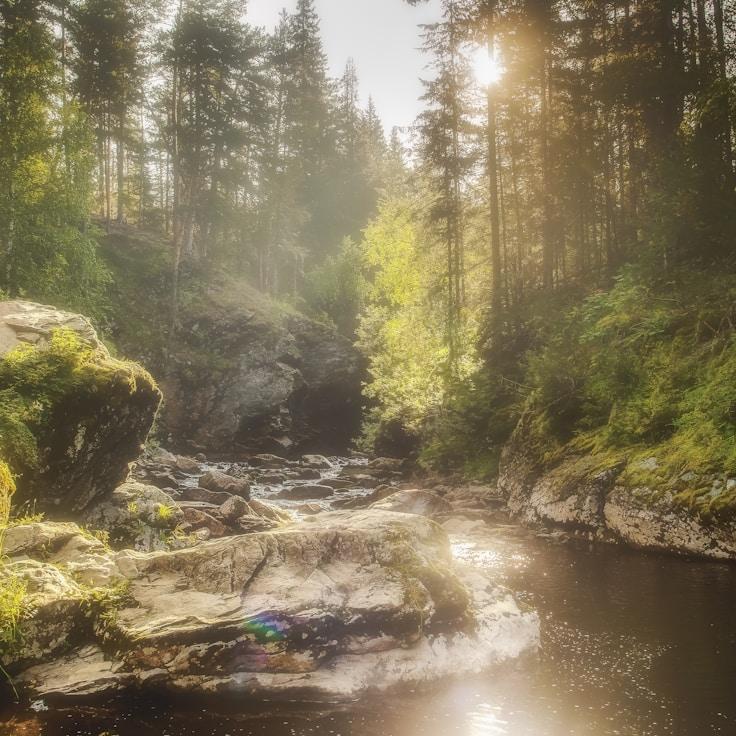 Alpine wilderness landscape