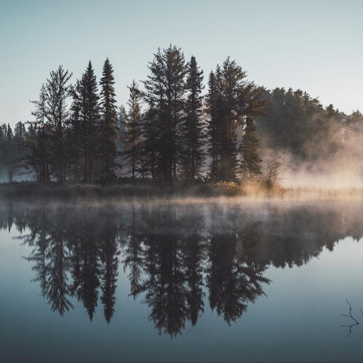 Protected areas overview